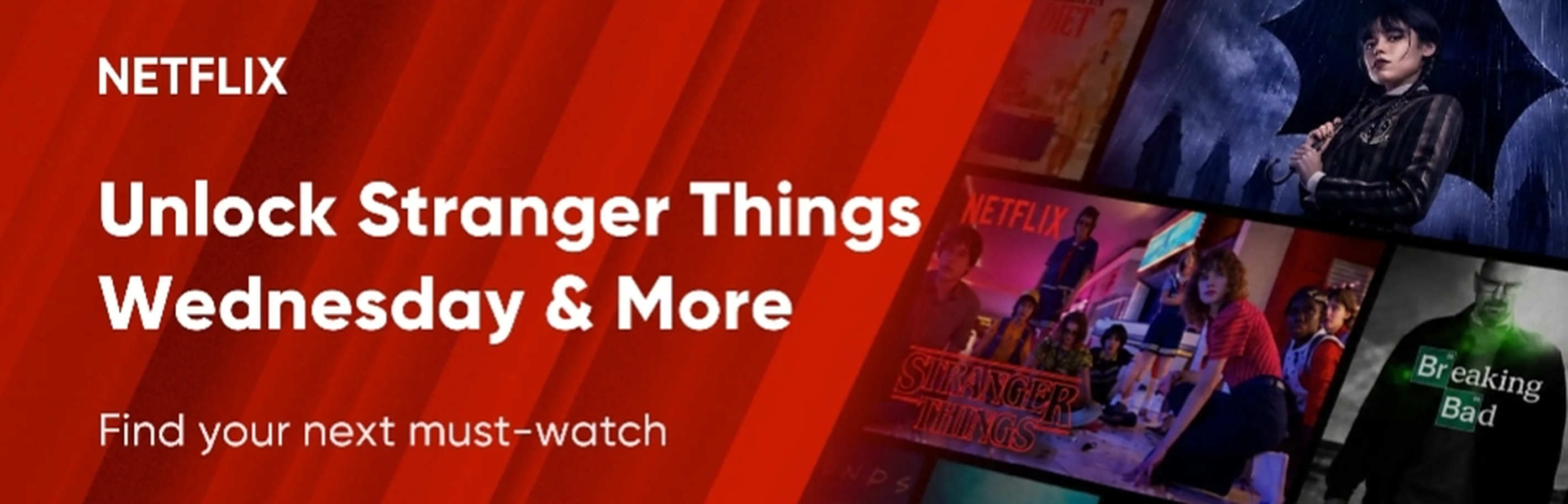 Netflix streaming subscriptions on SubsVault